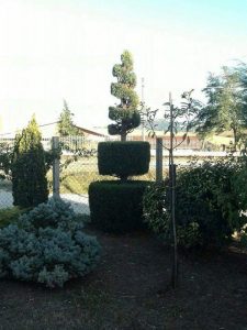 giardino Bisaccia