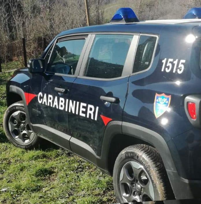 Carabinieri Forestali